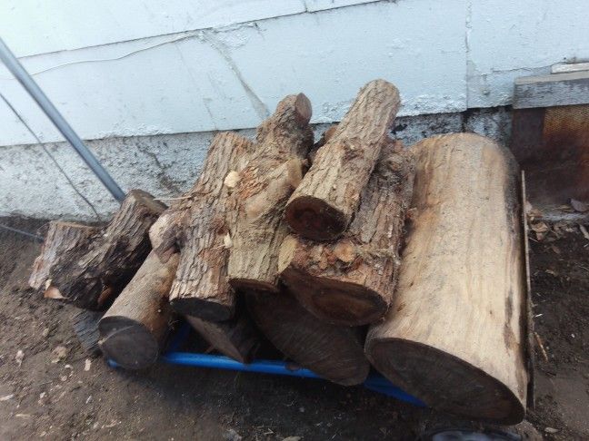 Firewood