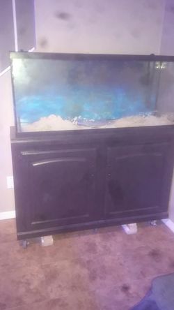 Fish tank