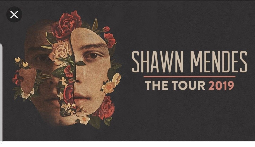 Shawn Mendes Concert Ticket for Houston, TX July 25, 2019
