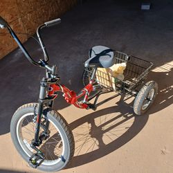 Trike (3 Wheeled Bike)