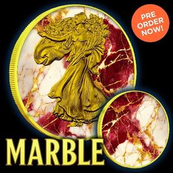 2024 Silver Eagle Marble w/ Gold Gild Edition 1oz .999 Silver Coin