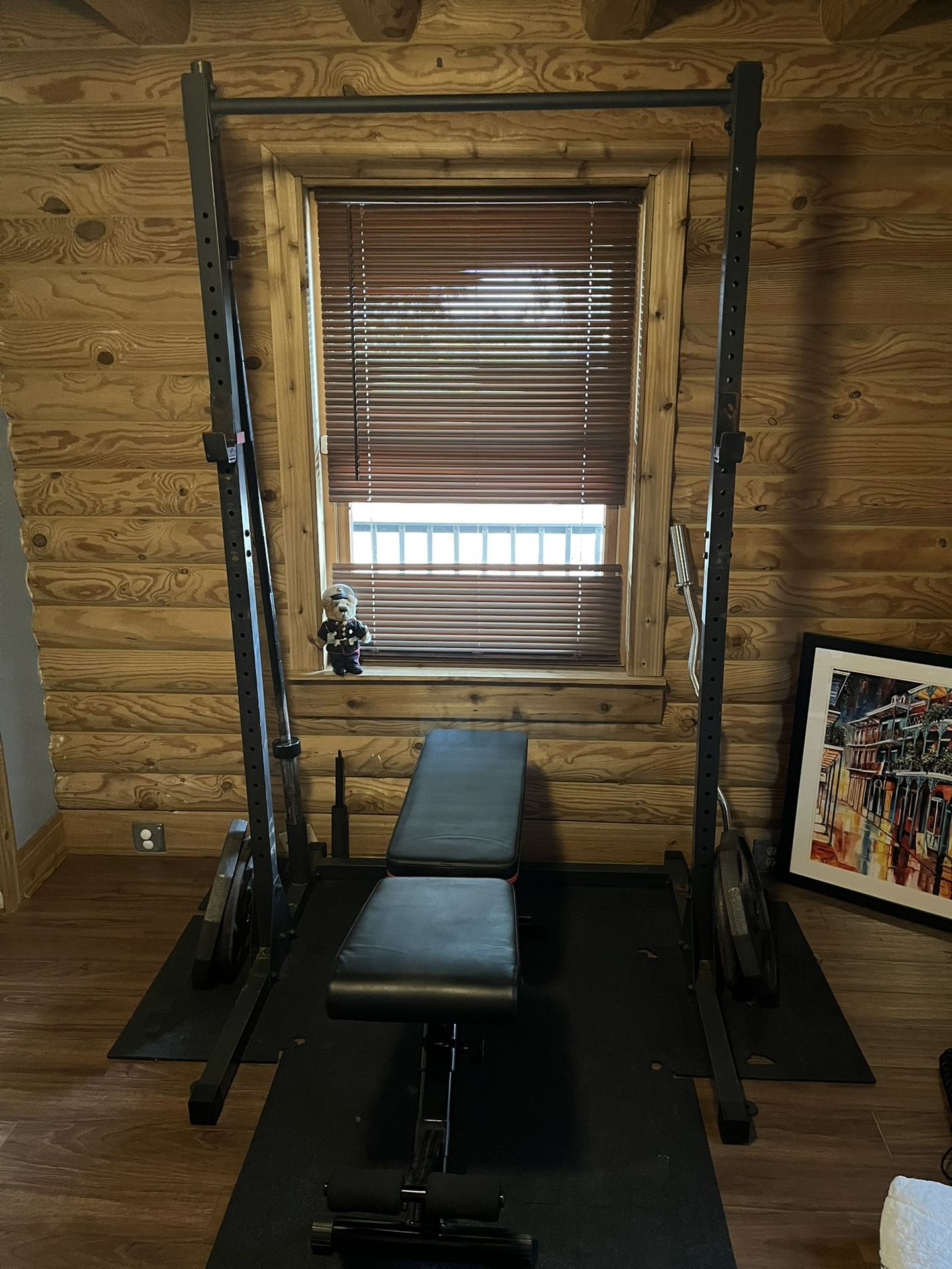 Gym Setup For Sale (need It Gone)