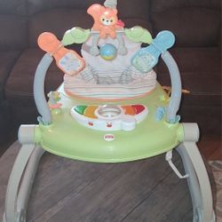 Fisher Price Baby Bouncer