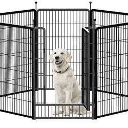 Dog Fence 