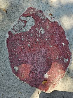 Pavers