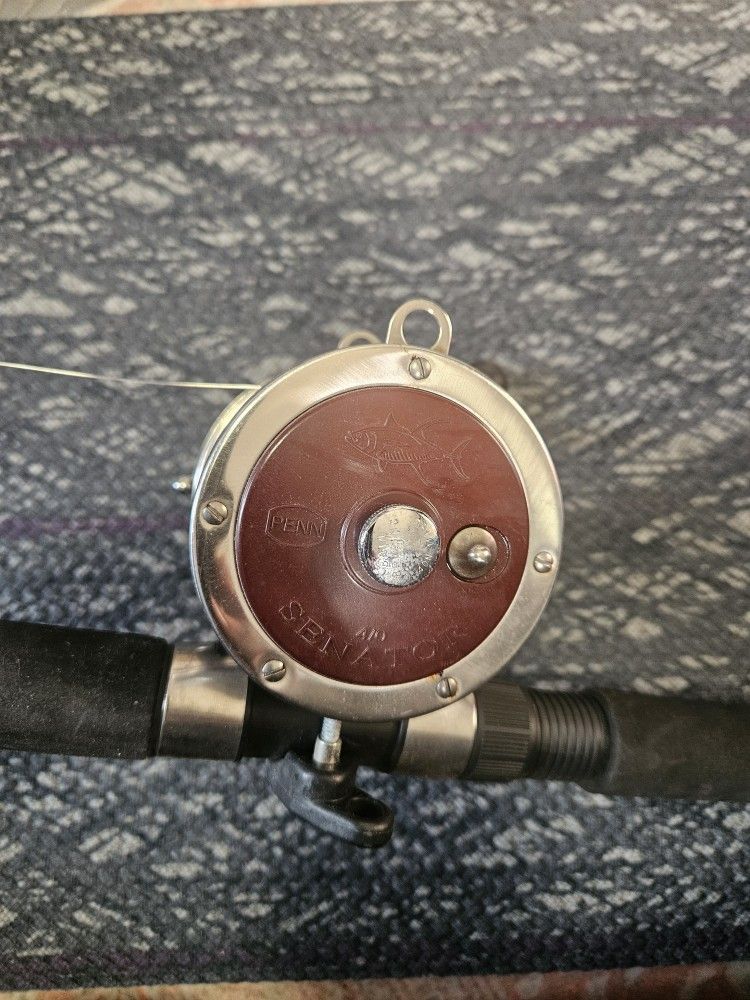 PENN 113H2 Senator Reel/Slammer Rod Combo
