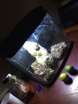 Big fish tank with pump and all collorfull lights