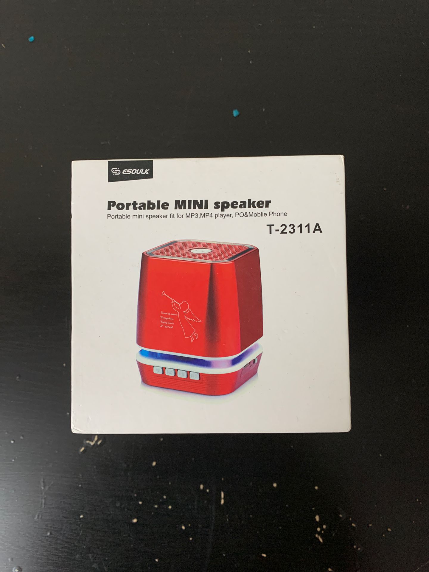 Portable mini speaker