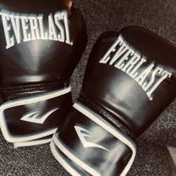 Everlast Boxing Gloves 