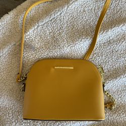 Steve Madden Purse