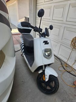 Zebra scooter