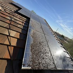 Solar Panel Cleaning 