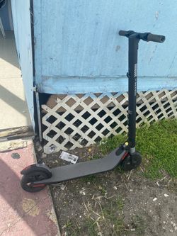 Electric Scooter 