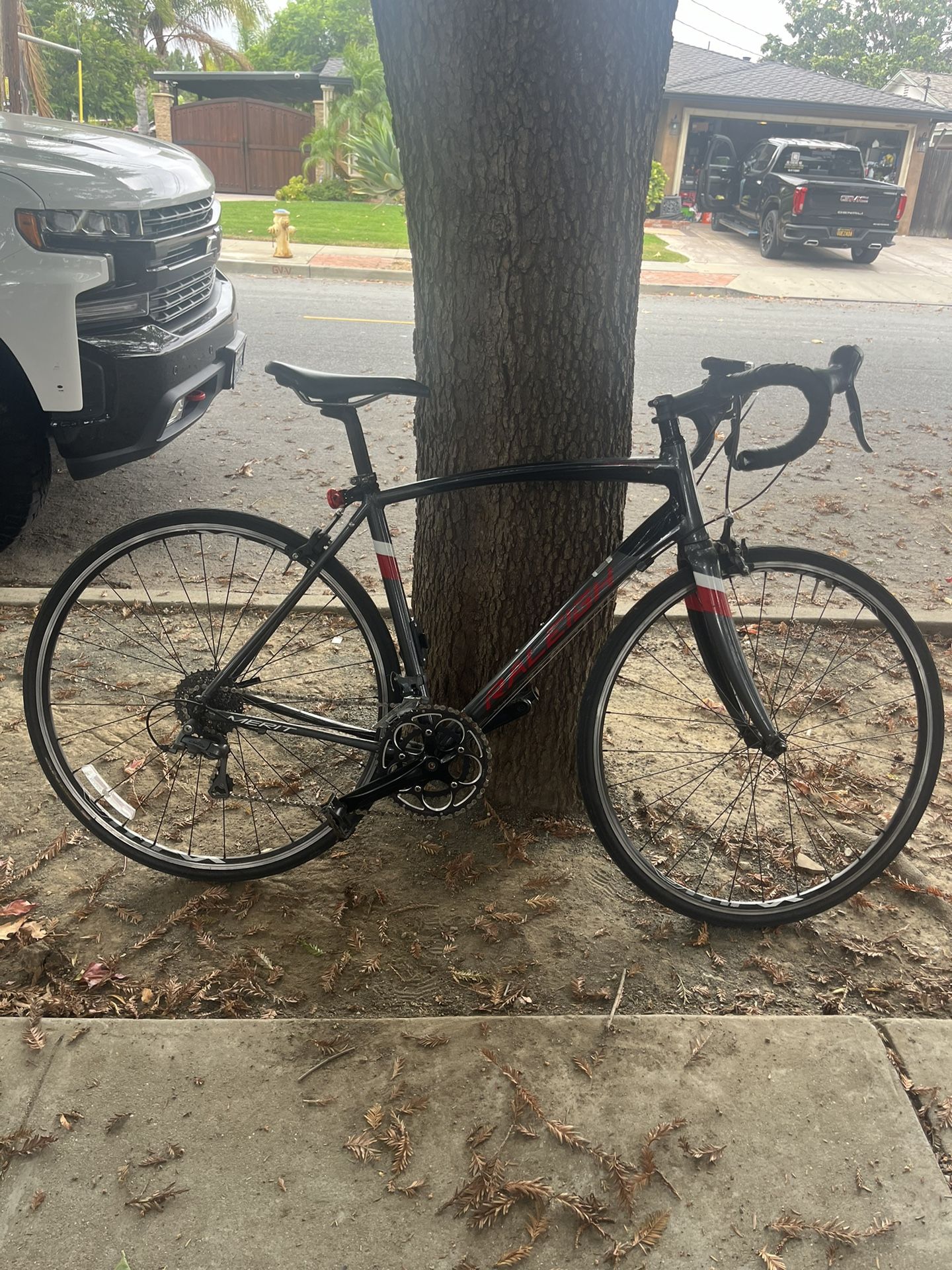 Road Bike (10 Speed) 
