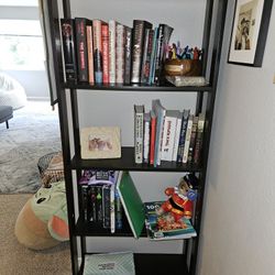 Ikea Bookcase LAIVA