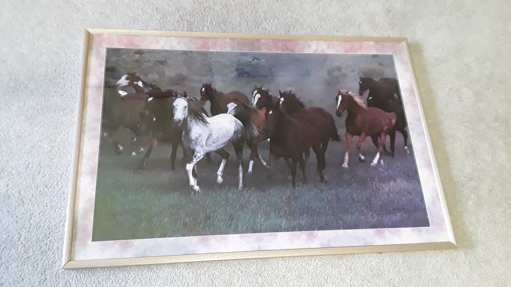 Large running horses framed and matted wall decor

