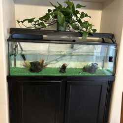 50 Gallon Fish Tank