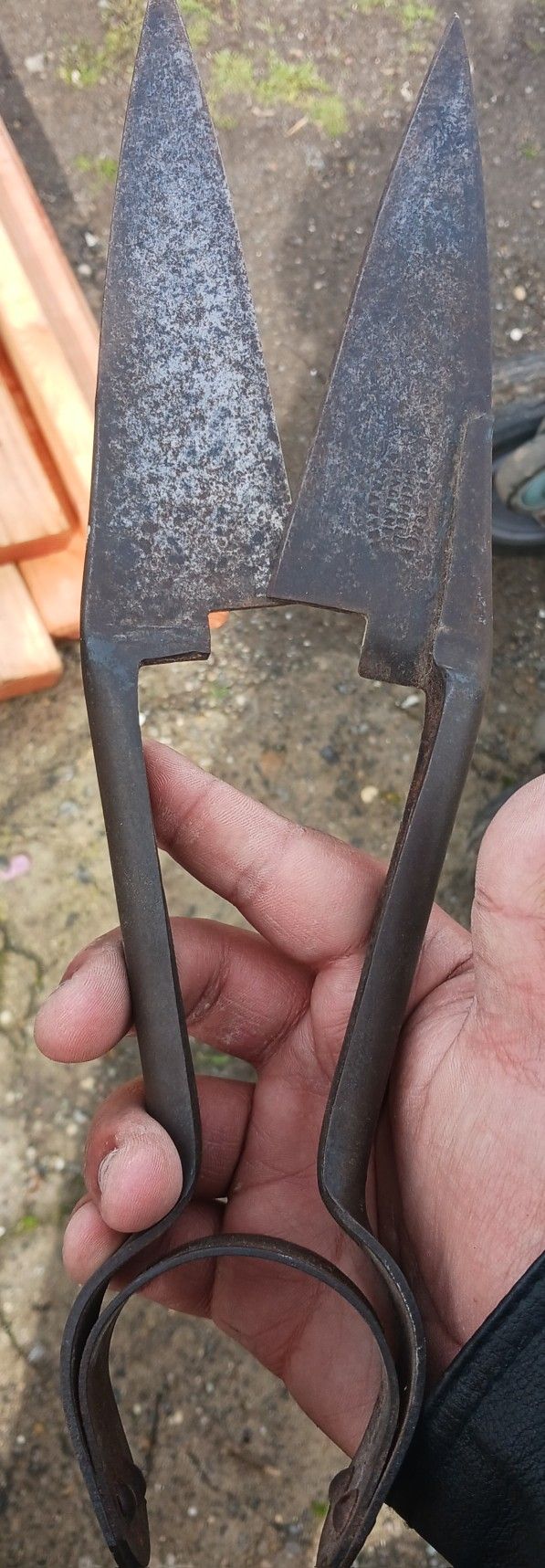 English Shears