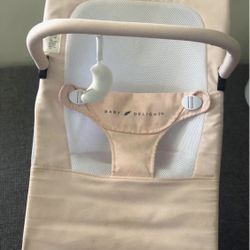 Baby Delight Bouncer 