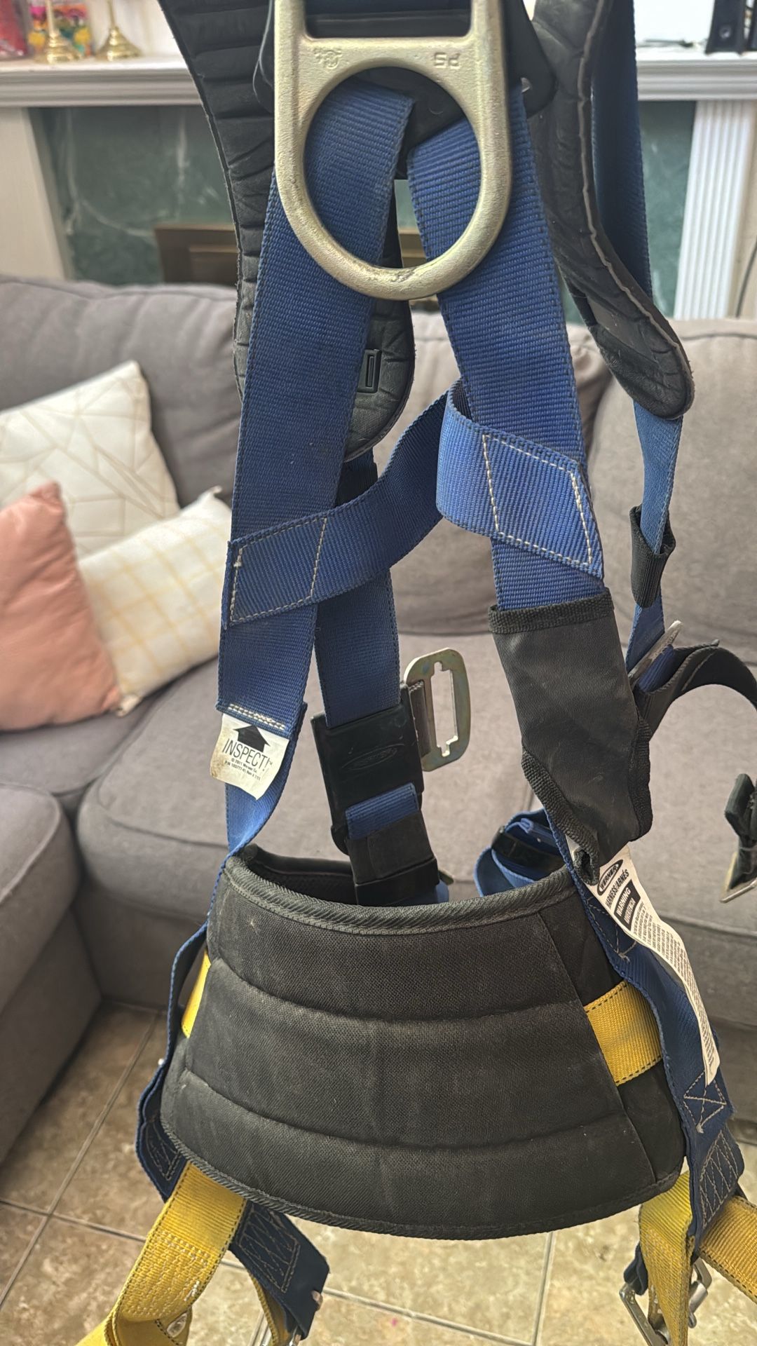 Harness