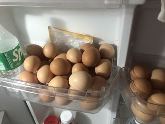 Eggs For Sale