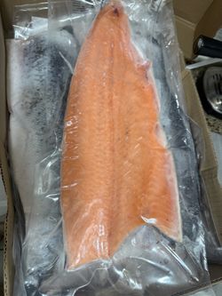 Whole Salmon Fillet premiun 🇨🇱 whole sale
