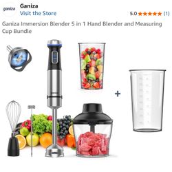 Ganzia Hand Blender 5n1