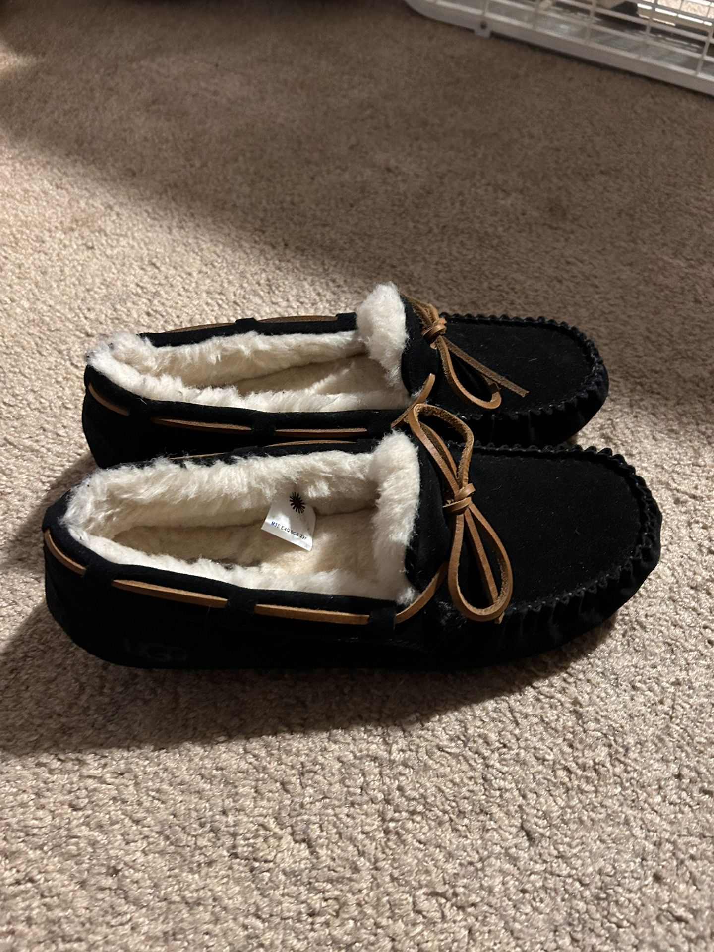 Brand New Uggs