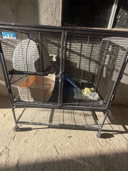 Bunny cage