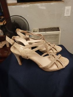 Ladies   Size   8