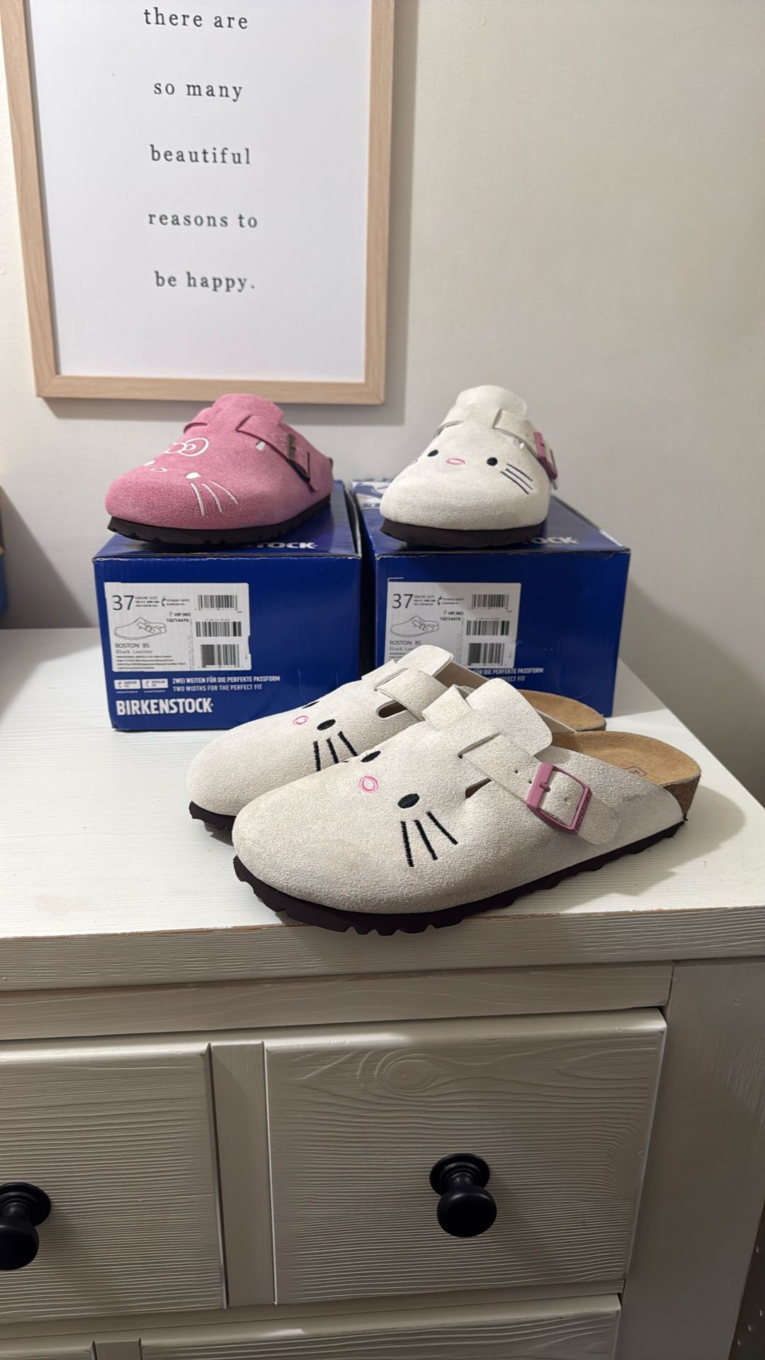 Birkenstocks 
