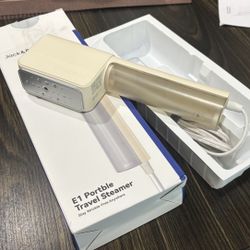 Travel Steamer 