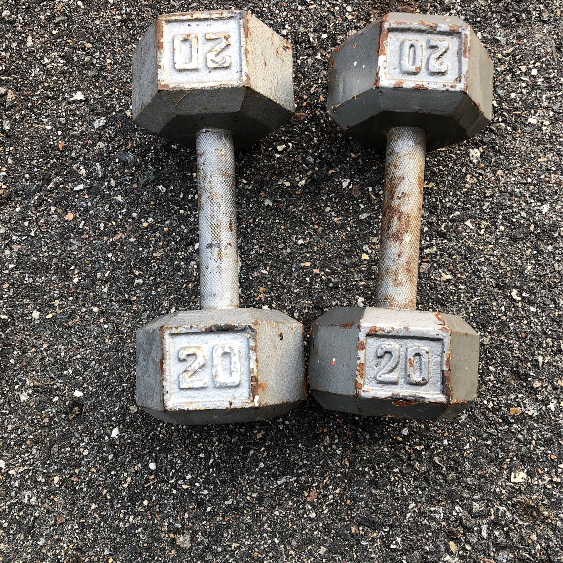 2-20lbs Cast Iron Dumbbells