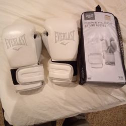 Everlast Boxing Gloves 12oz For Sale