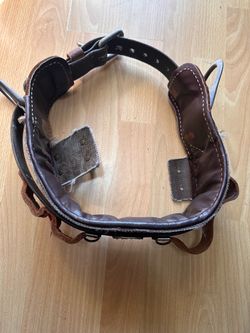 Climbing belt $220