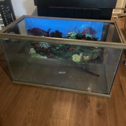 Fish Tank