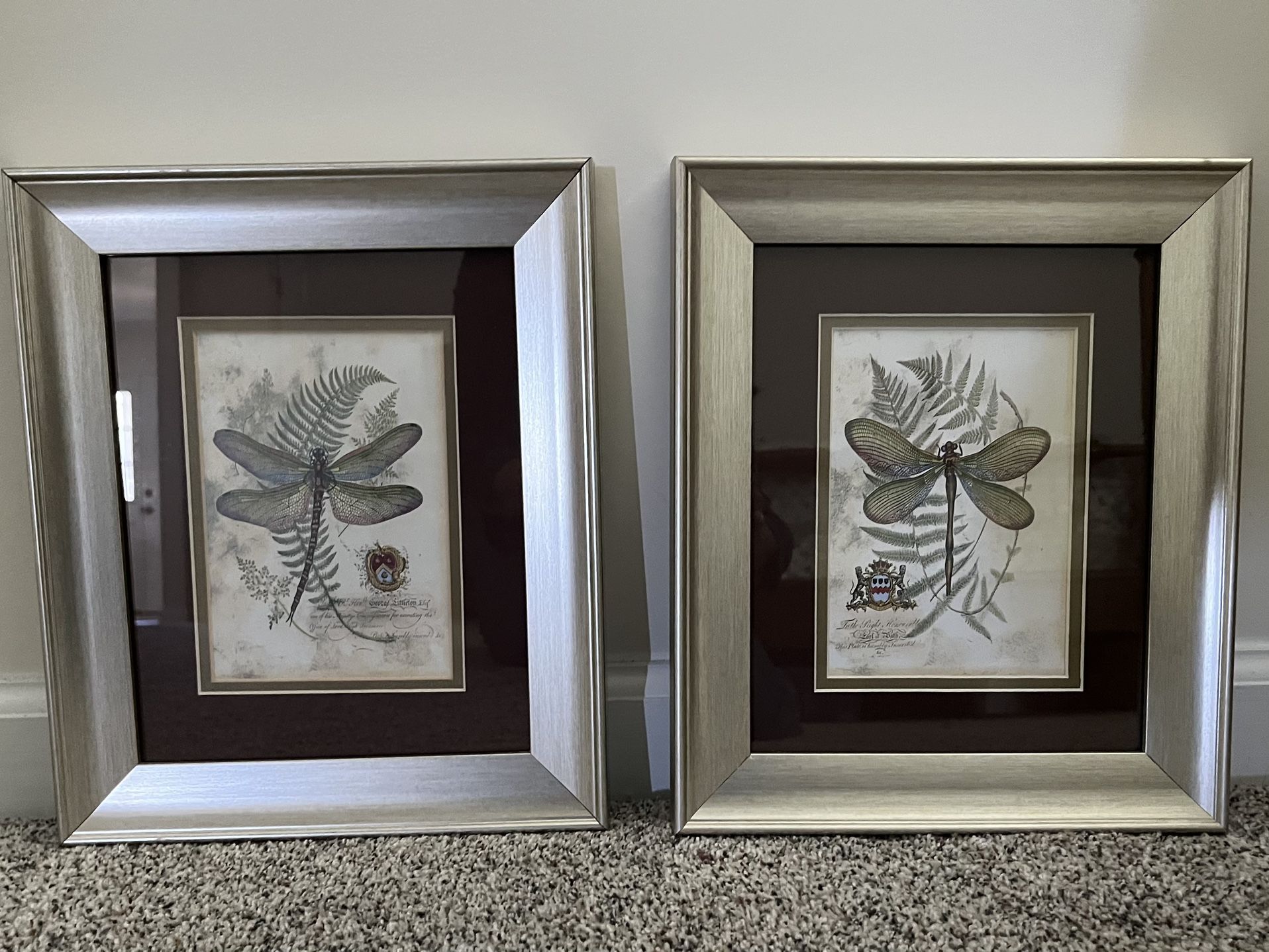 Set of 2 Framed Dragonfly Botanical Prints