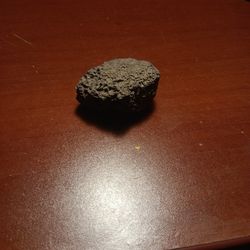 Fossilized rock 