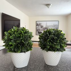 Set of 2 Artificial Greenery Plant Bush in Small White Planter Pot 7” tall 