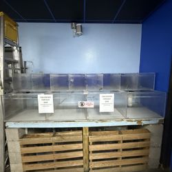 Acrylic Fish System