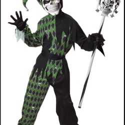 Boys Jester costume size small
