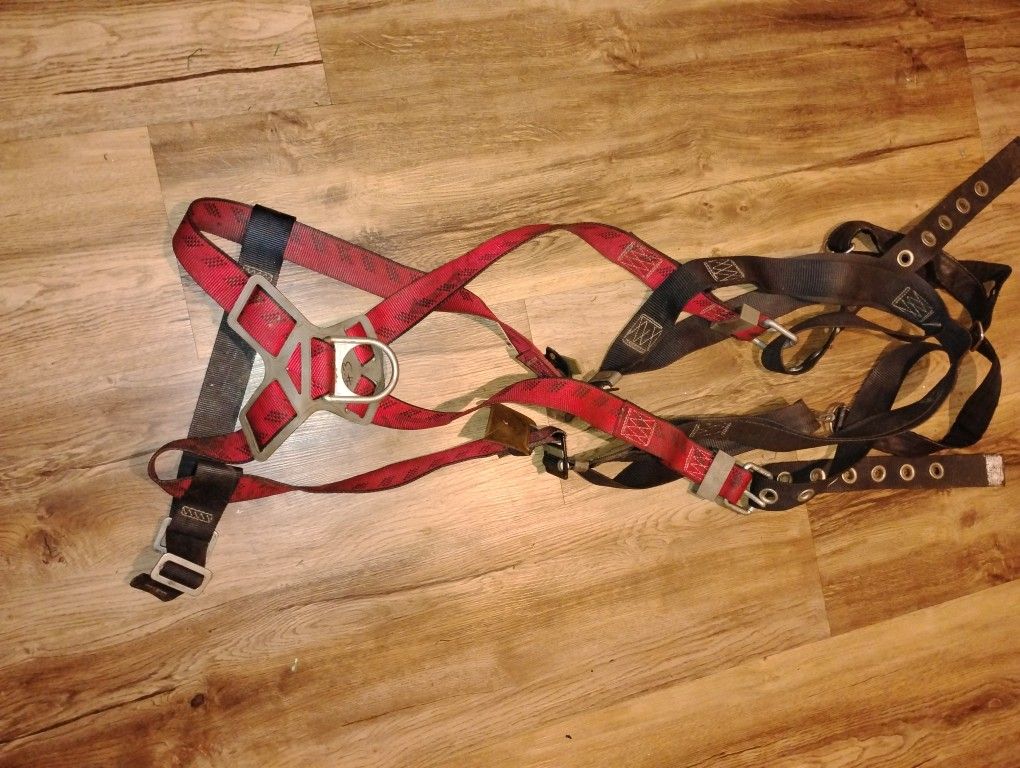 Harness