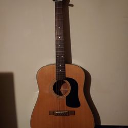 Washburn Acoustic Guitar 