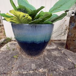 Miscellaneous Large Pots