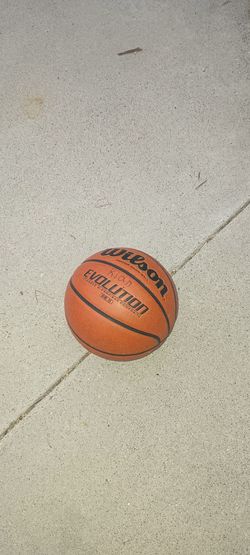 Wilson Evolution basketball