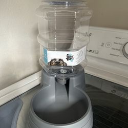 The Fluffy Bunch Water Dispenser