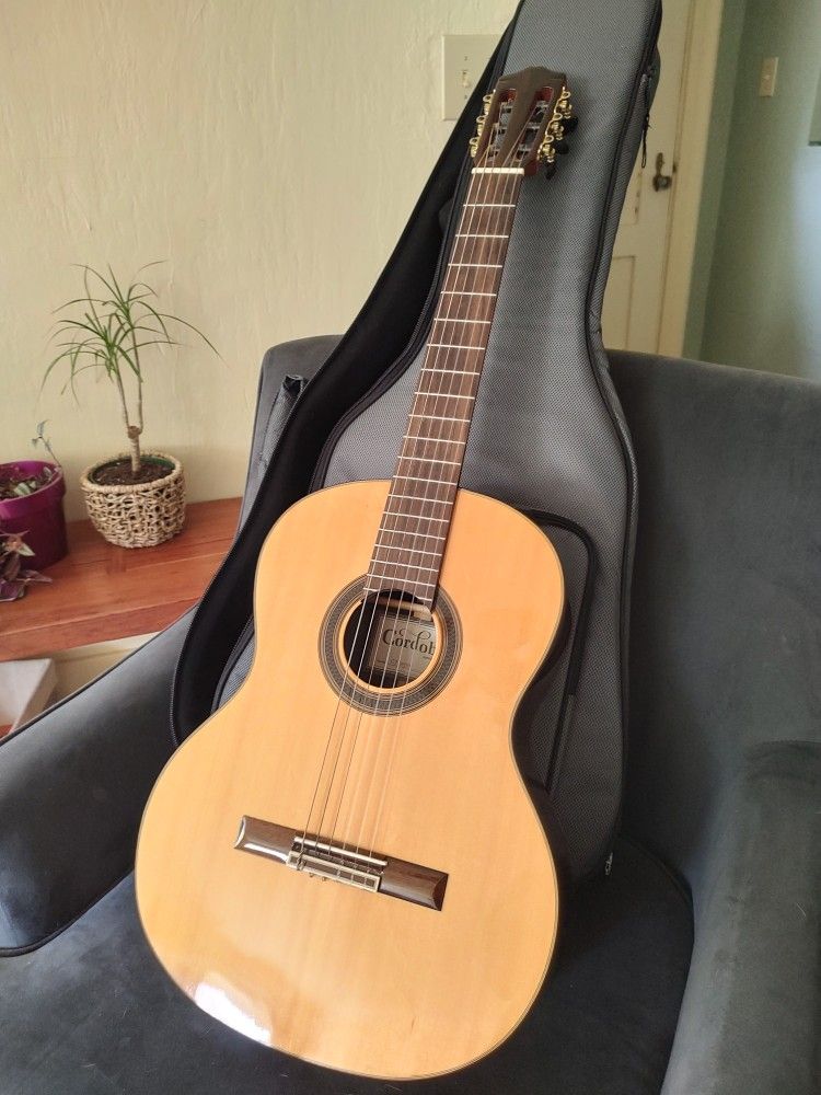 Full Size Cordoba 6-String Guitar
