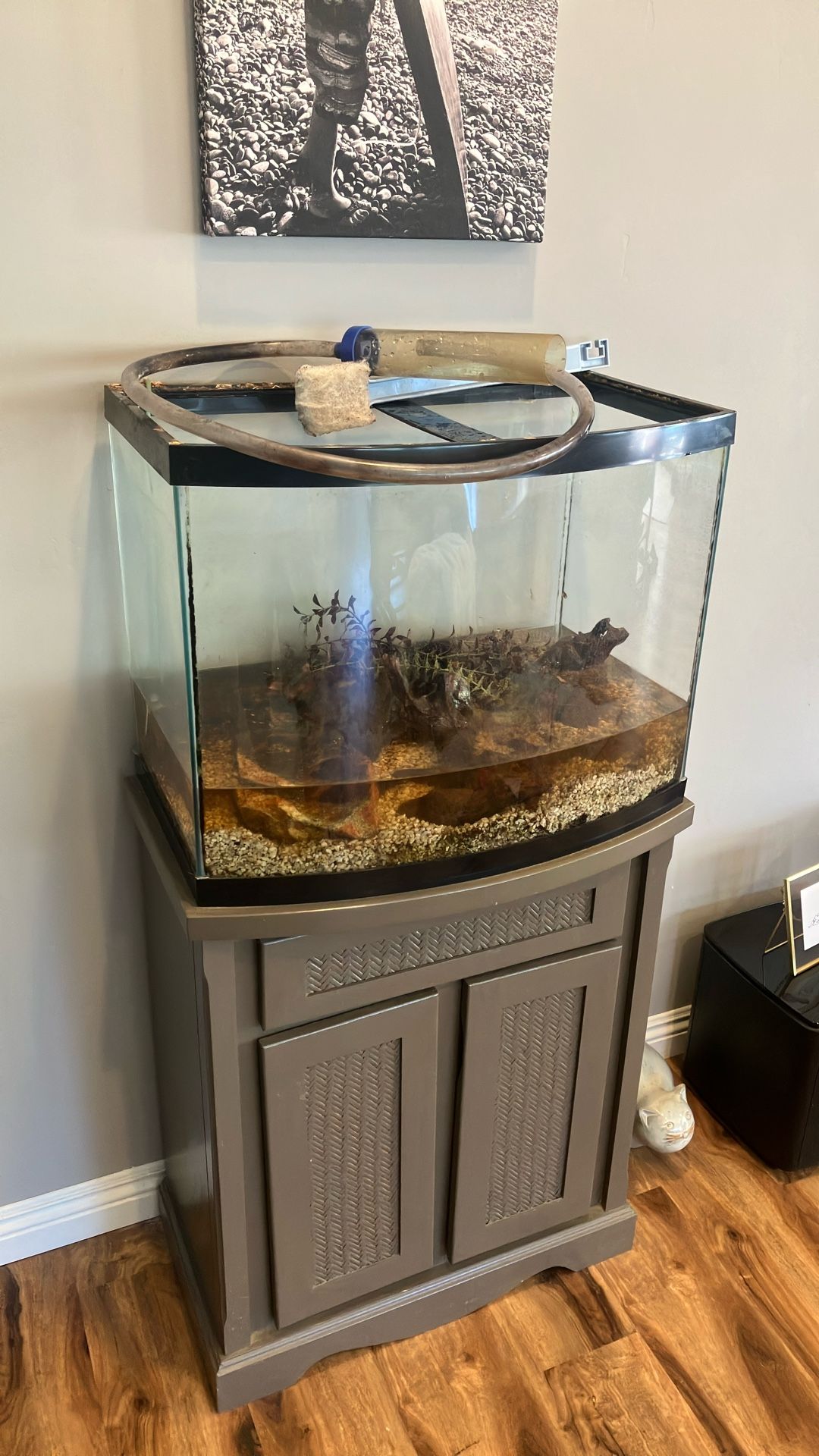 30 Gallon Fish Tank