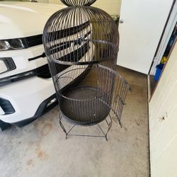 Bird Cage