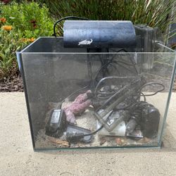 5 Gallon salt Water Set Up 